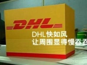 北京石景山DHL國際貨運代理公司 專業快遞取件咨詢與全球貨物運輸服務指南